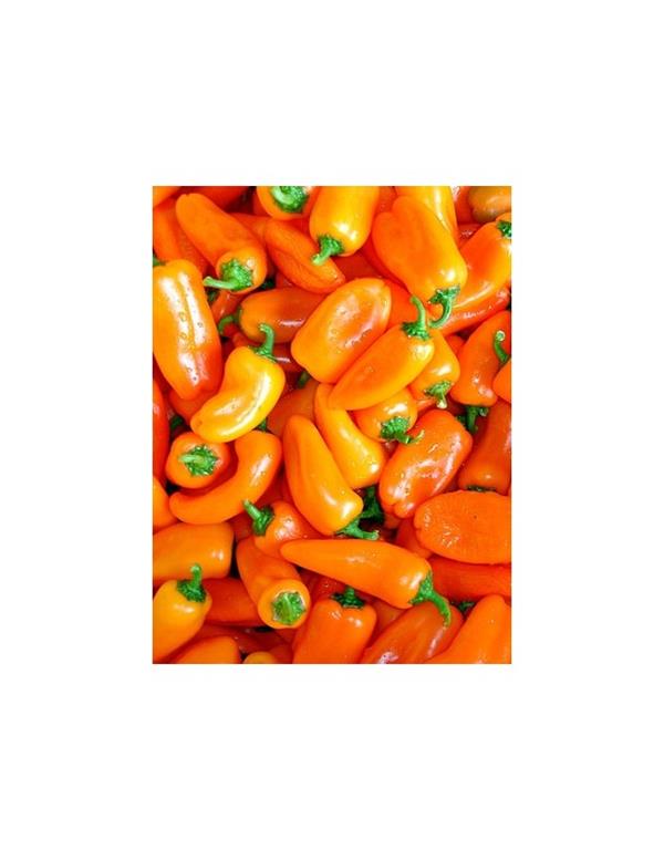 Paprika hamik eko seme
