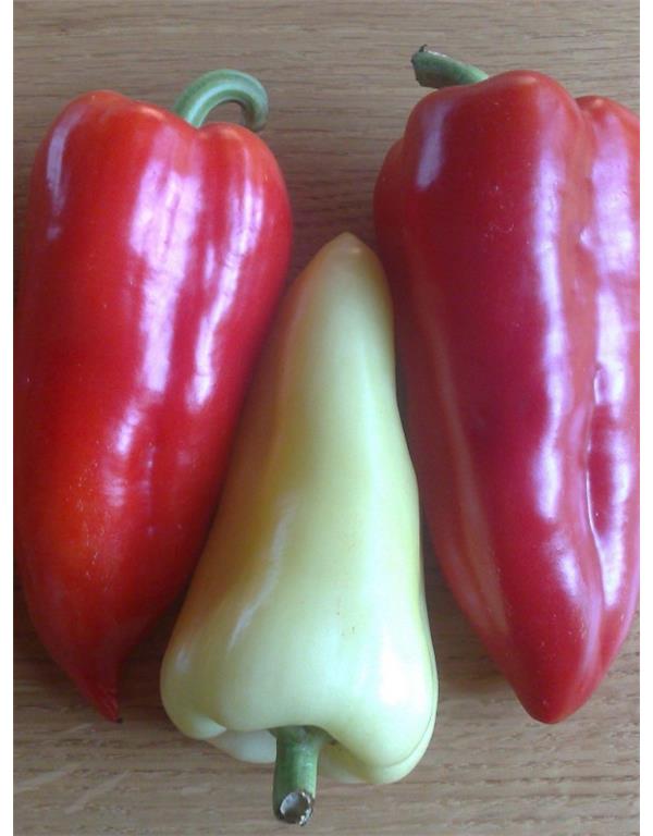 Paprika ferenc tender eko seme