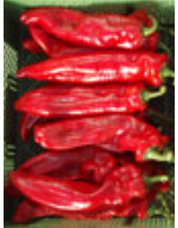 Paprika sweet palena eko seme
