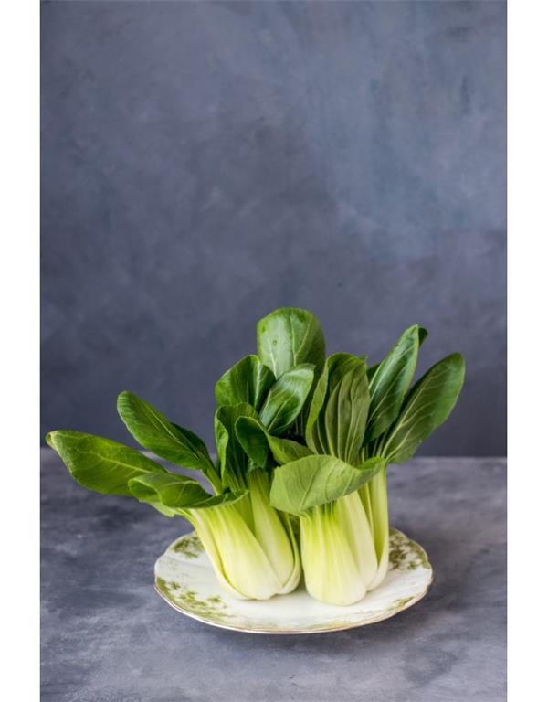 Pak choi zelen tanaka eko seme